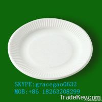 disposable 6 inch paper plate