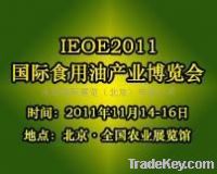 2013 IEOE china oil expo