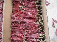 Paprika Pods