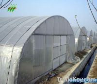 Economic Tunnel Greenhouse