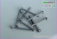 SS 304 Pan Head Phillips Chipboard Screw