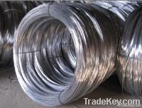 Low price electro electro zinc coated galvanized binding iron wire