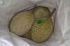 https://www.tradekey.com/product_view/Chilled-Whole-Durians-3910963.html