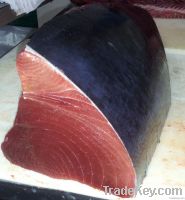 Yellow Fin tuna