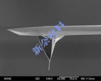 Carbon nanotube AFM probes