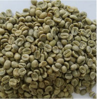 Green Arabica Coffe Beans