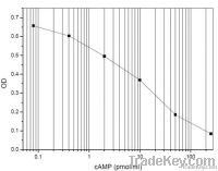 Monoclonal Anti-cAMP Antibody Based Direct cGMP EIA Kit without Acetyl