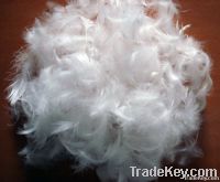 washed white goose feather