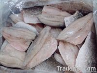 Frozen Barramundi fillet IQF (Latin name:Lates Calcarifer)