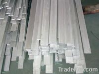 Stainless Steel (Flat Bar)