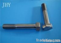 Titanium Fasteners