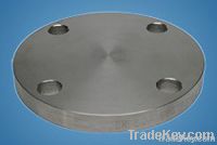 stainless steel flange(BL)