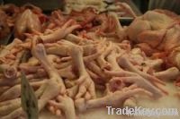 Export Chicken Paw | Chicken Feet Suppliers | Poultry Feet Exporters | Chicken Feets Traders | Processed Chicken Paw Buyers | Frozen Poultry Paw Wholesalers | Low Price Freeze Chicken Paw | Best Buy Chicken Paw | Buy Chicken Paw | Import Chicken Paw | Ch