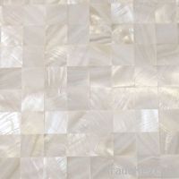 Chinese River Shell Mosaic White Color Natural decoration material