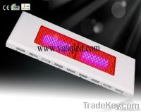 High power 600w panel led grow light for flowering and fruiting with f