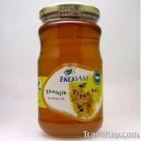 Organic Honey - Multifloral