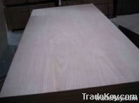 okoume/bintangor commercial plywood