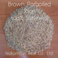 Brown Parboiled Rice 100% Sortexed