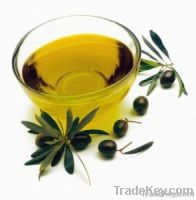 elaia olive oil