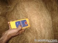 COCONUT COIR FIBER