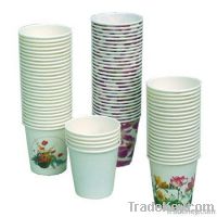 Paper Cup