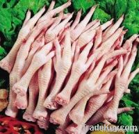 Grade A. Chicken feet