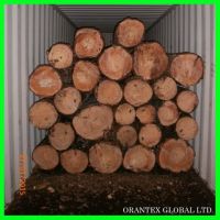 Sylvestris Pine Logs from Ukraine