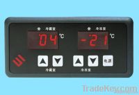 Temperature controller with double displays