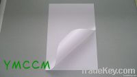 high quality cast coated label paper