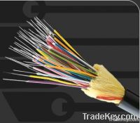 Fiber Optic Networking