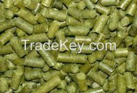 Alfalfa pellets