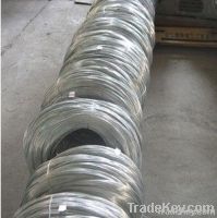 TP304/304L stainless steel wire