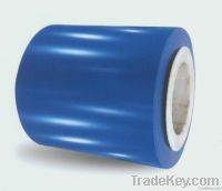 Color coated steel coil