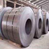 hot roll steel coil