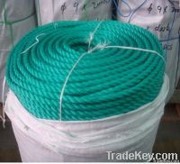 https://jp.tradekey.com/product_view/3mm-30mm-Pe-Rope-5509312.html