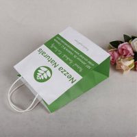 customized logo printing paper advertising bags