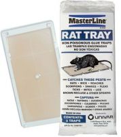 Rat Glue Tray