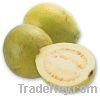 https://ar.tradekey.com/product_view/Fresh-Guava-3981169.html