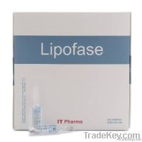 Lipofase