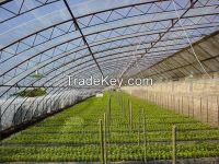 0.15mm-0.20mm  multi-span greenhouse film