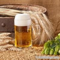 Barley Malt, Malt Extract Powder, maltose syrup