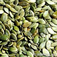 Pumpkin Seeds