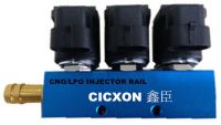 Hot-sale CNG/LPG Rail injector (3 cylinders)