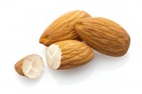 Almond Nuts Quality Raw Almond Nuts