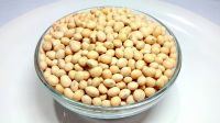 Soya Beans Soybeans Raw And Dried Soybeans