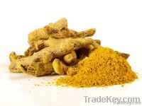 TURMERIC POWDER, TURMERIC DRIED