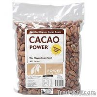 raw cacao beans