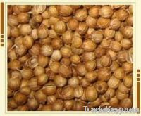 Coriander Seeds