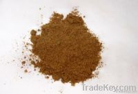 Cumin Powder