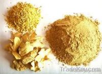 Onion Garlic Powder Mix